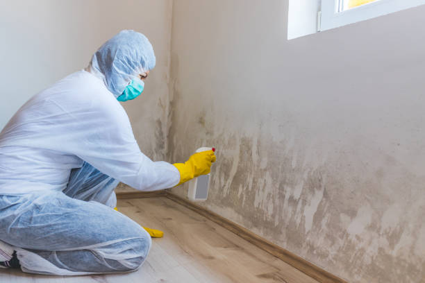 Licensed Mold Testing service in Lewisville, TX - WQB Mold Removal