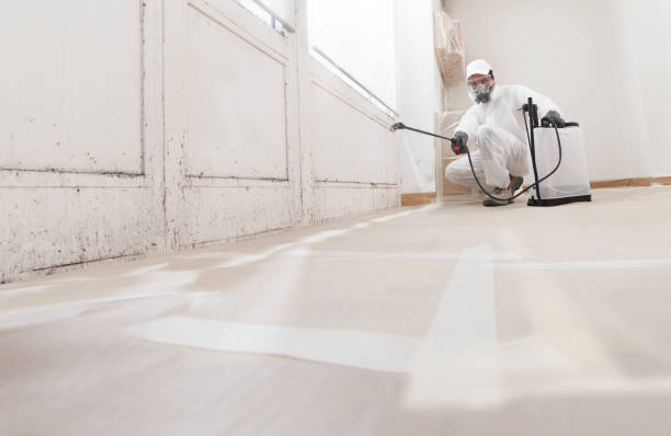 24/7 Emergency Mold Testing experts in Lewisville, TX