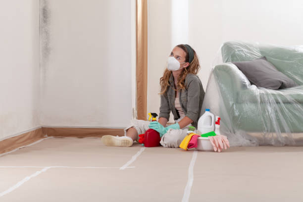 Reliable Mold Testing contractor in Lewisville, TX by WQB Mold Removal